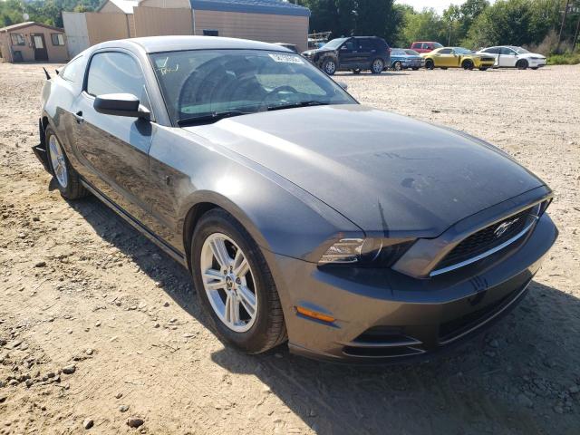 FORD MUSTANG 2014 1zvbp8amxe5273121