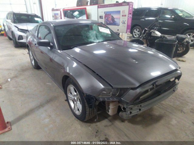 FORD MUSTANG 2014 1zvbp8amxe5278142