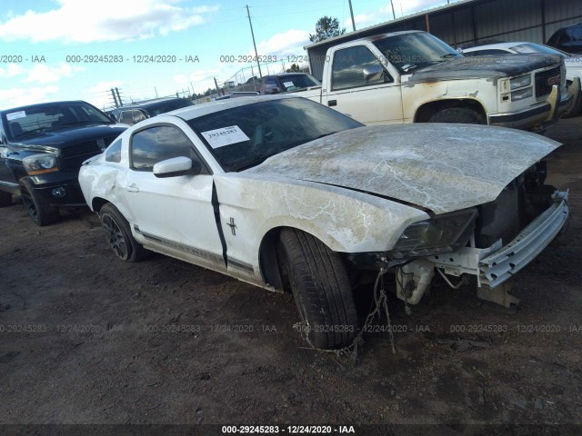 FORD MUSTANG 2014 1zvbp8amxe5280666