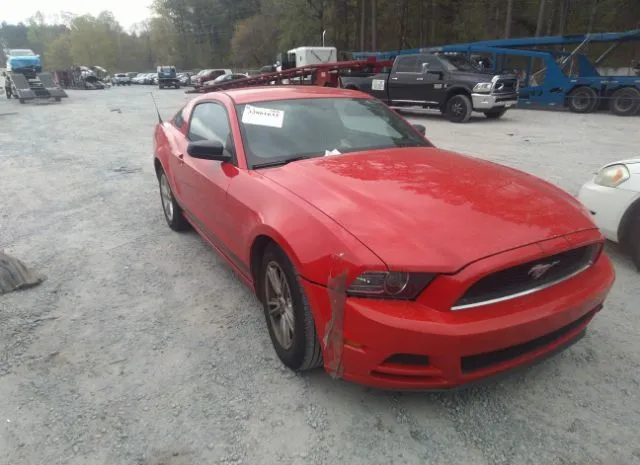 FORD MUSTANG 2014 1zvbp8amxe5283180