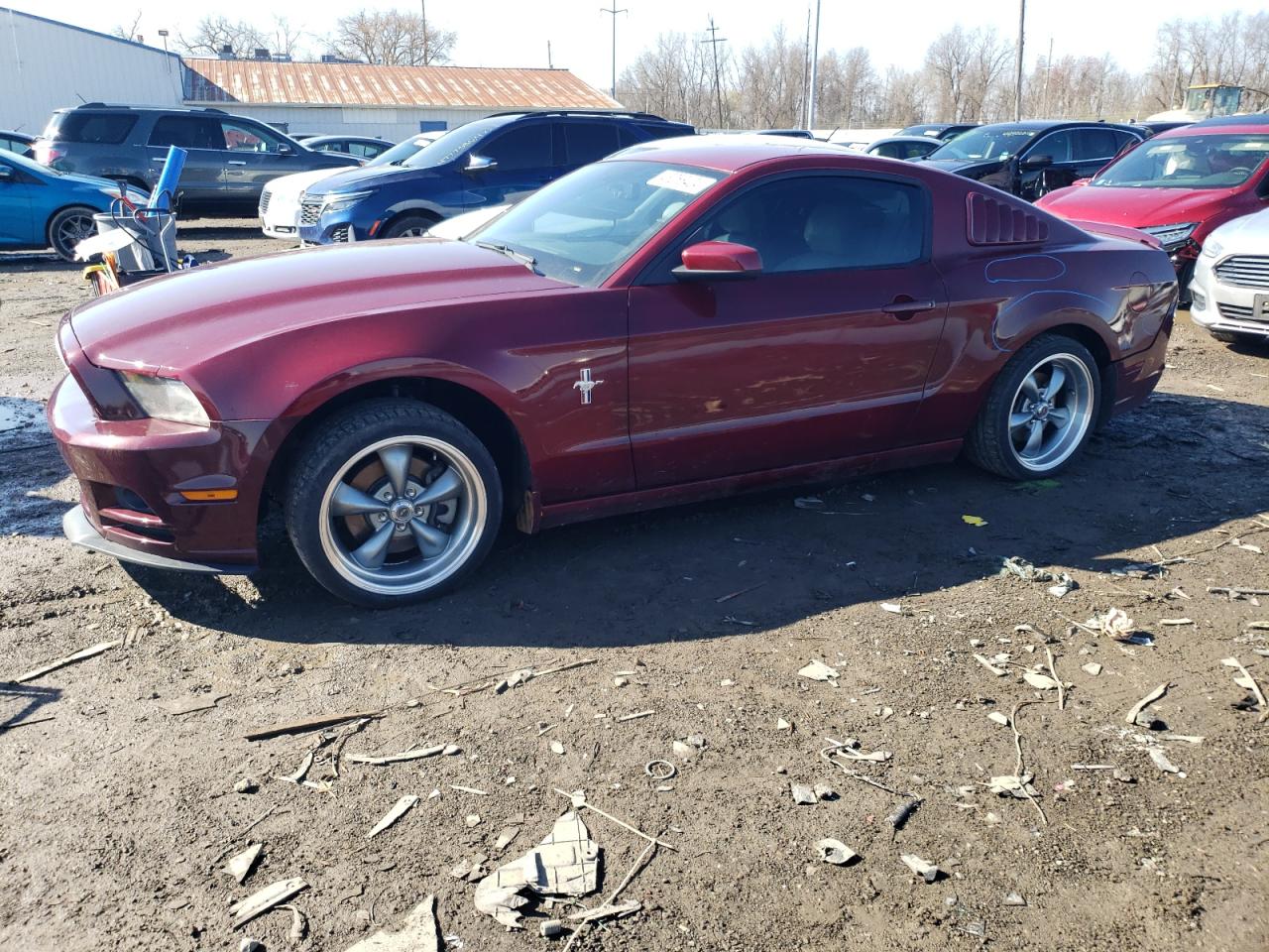 FORD MUSTANG 2014 1zvbp8amxe5283227