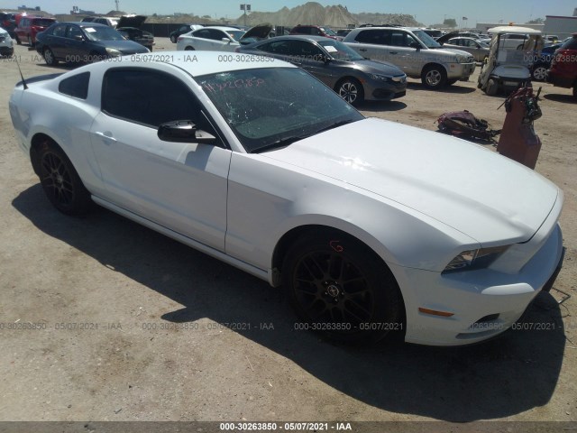 FORD MUSTANG 2014 1zvbp8amxe5287777