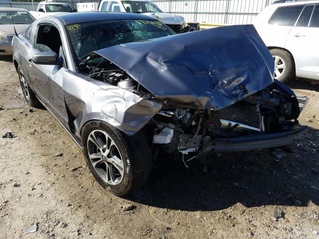 FORD MUSTANG 2014 1zvbp8amxe5296995