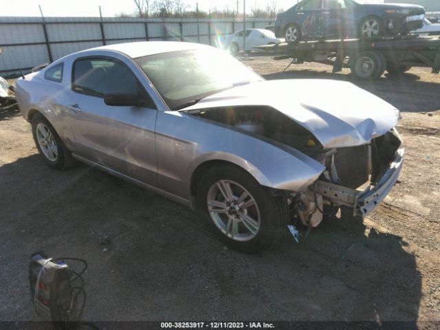 FORD MUSTANG 2014 1zvbp8amxe5301693