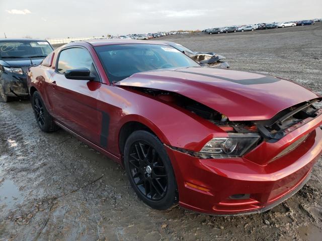 FORD MUSTANG 2014 1zvbp8amxe5303427