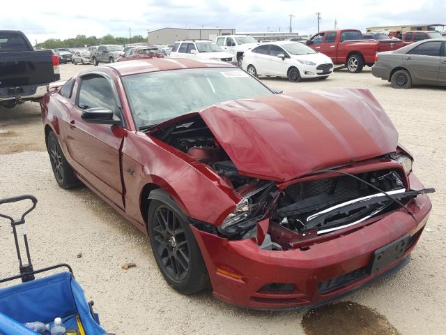 FORD MUSTANG 2014 1zvbp8amxe5303928