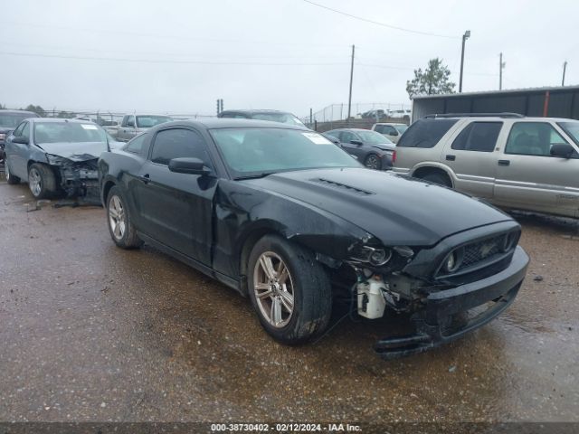 FORD MUSTANG 2014 1zvbp8amxe5305632