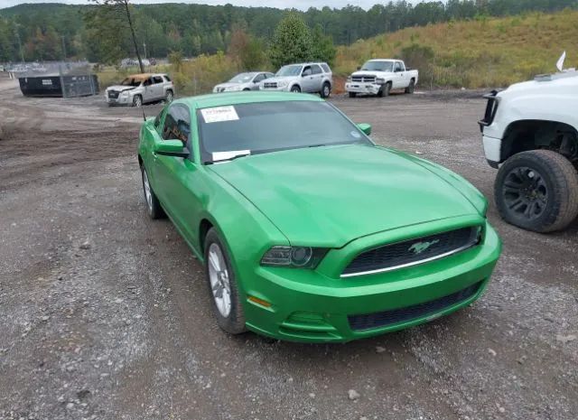 FORD MUSTANG 2014 1zvbp8amxe5309633