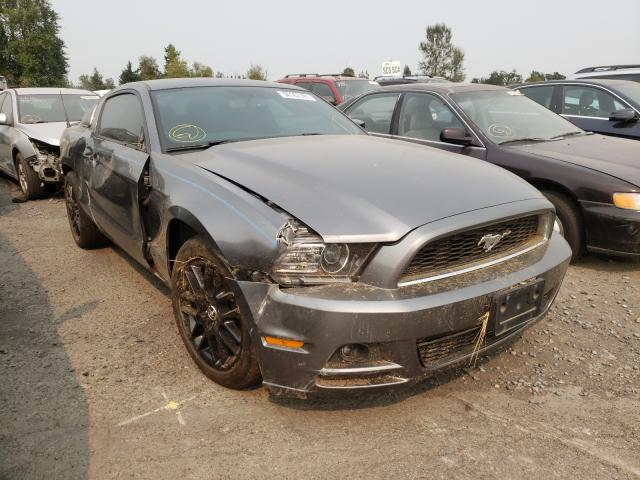 FORD MUSTANG 2014 1zvbp8amxe5310295