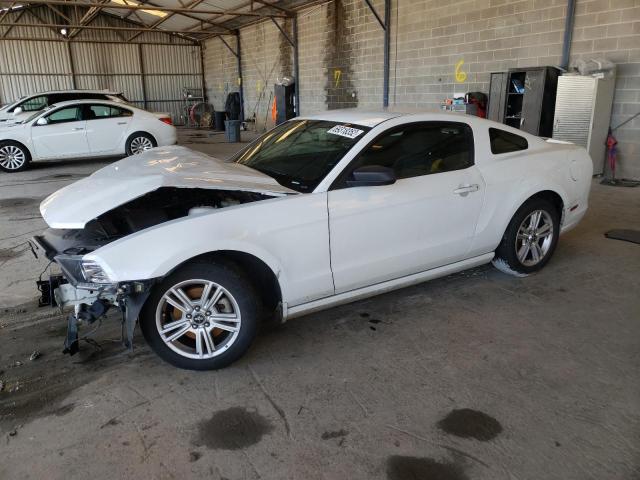 FORD MUSTANG 2014 1zvbp8amxe5311172