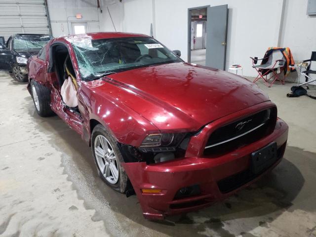 FORD MUSTANG 2014 1zvbp8amxe5313164