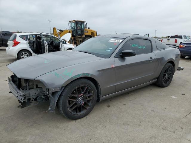 FORD MUSTANG 2014 1zvbp8amxe5313326