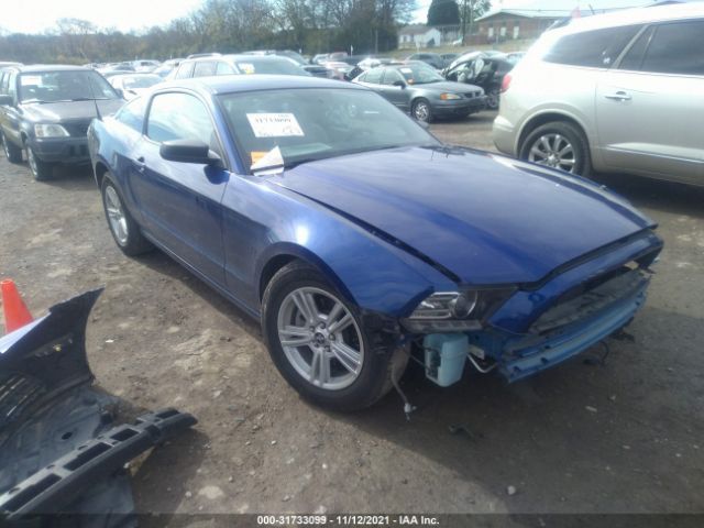 FORD MUSTANG 2014 1zvbp8amxe5315013