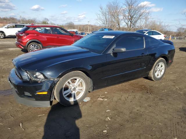 FORD MUSTANG 2014 1zvbp8amxe5315416