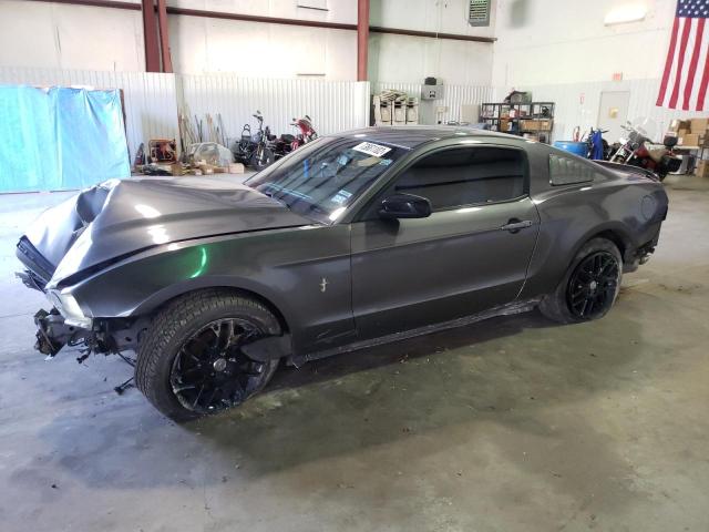 FORD MUSTANG 2014 1zvbp8amxe5316176