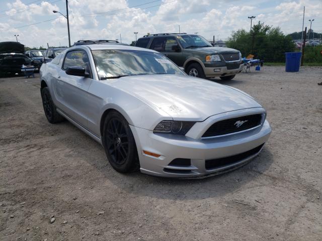 FORD MUSTANG 2014 1zvbp8amxe5317795