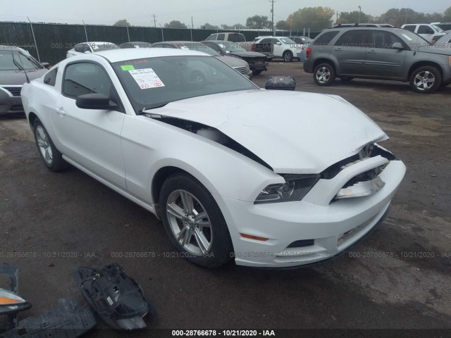 FORD MUSTANG 2014 1zvbp8amxe5317862