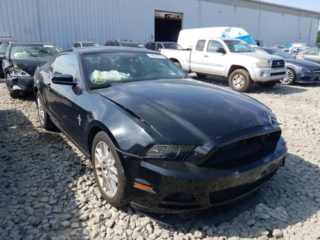 FORD MUSTANG 2014 1zvbp8amxe5318011