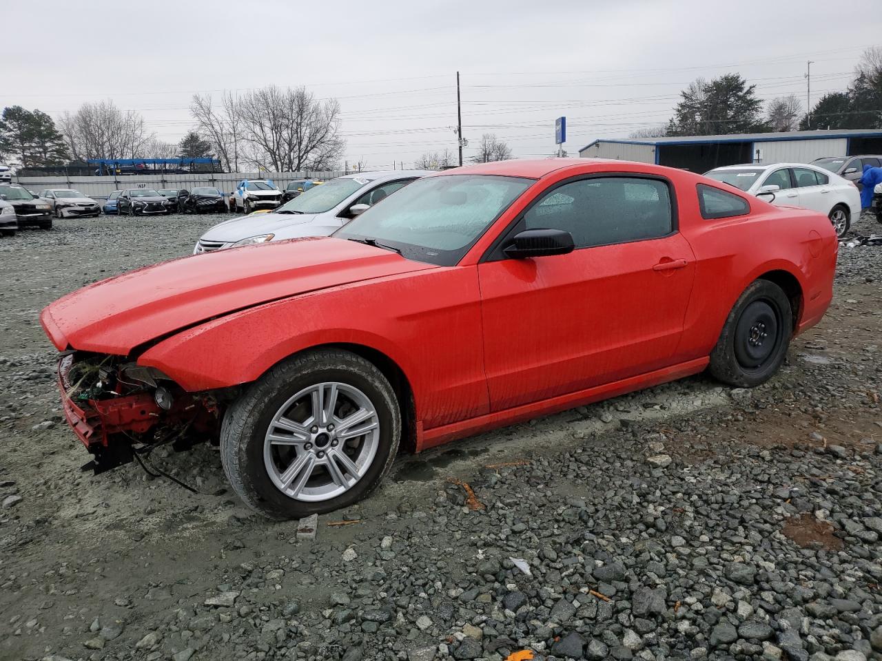 FORD MUSTANG 2014 1zvbp8amxe5318462