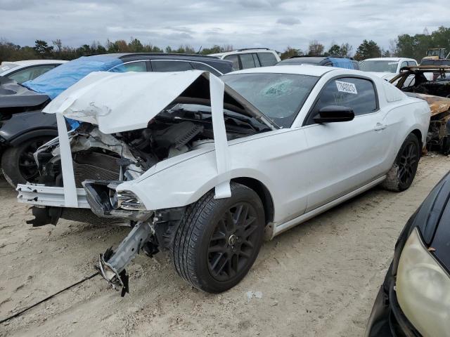 FORD ALL MODELS 2014 1zvbp8amxe5319353