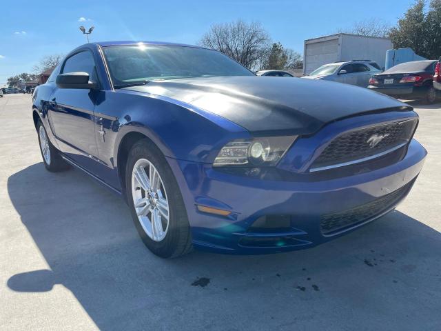 FORD MUSTANG 2014 1zvbp8amxe5321006