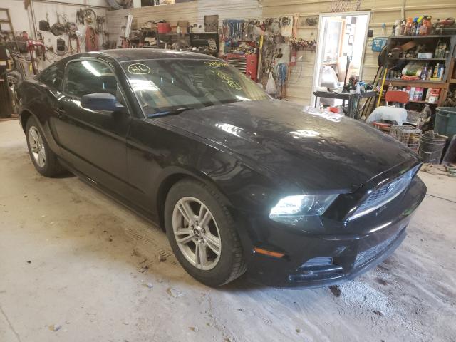 FORD MUSTANG 2014 1zvbp8amxe5321264