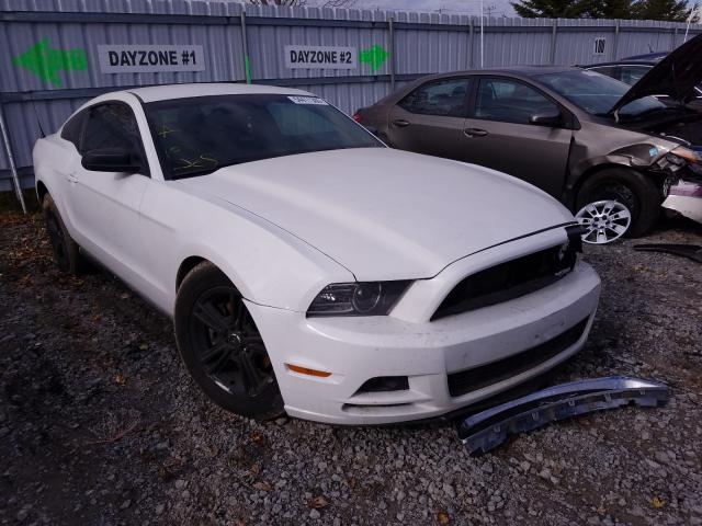 FORD MUSTANG 2014 1zvbp8amxe5323614