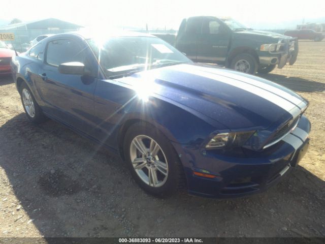 FORD MUSTANG 2014 1zvbp8amxe5323628