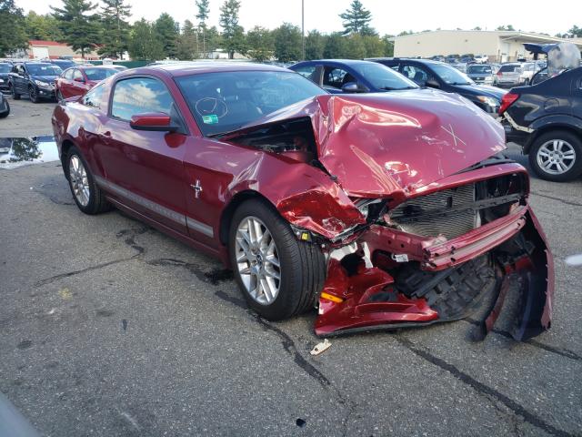 FORD MUSTANG 2014 1zvbp8amxe5323855