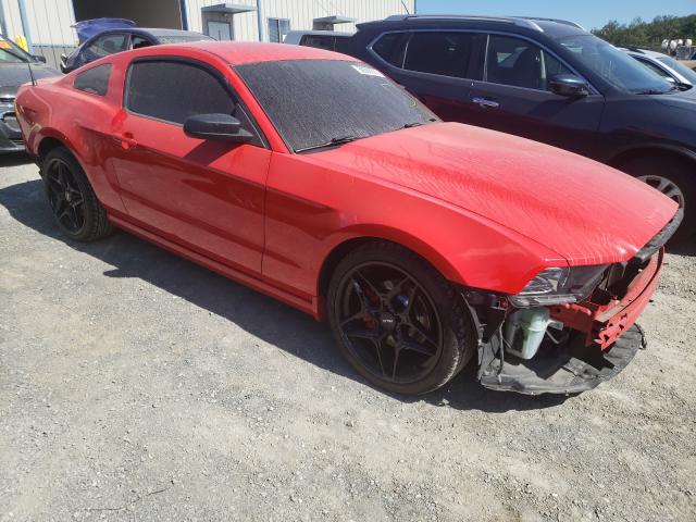 FORD MUSTANG 2014 1zvbp8amxe5324228