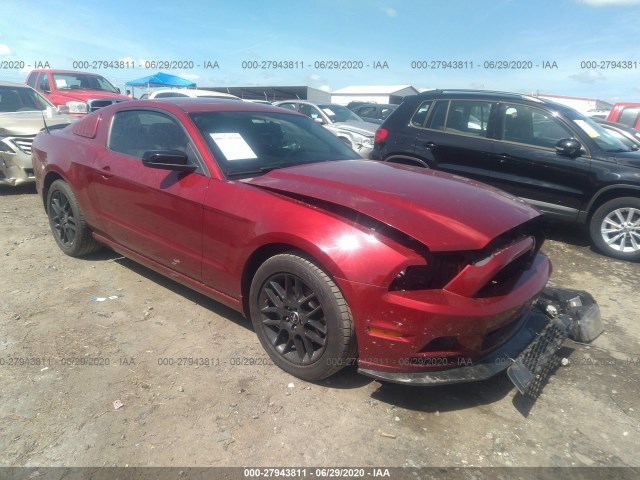 FORD MUSTANG 2014 1zvbp8amxe5325220