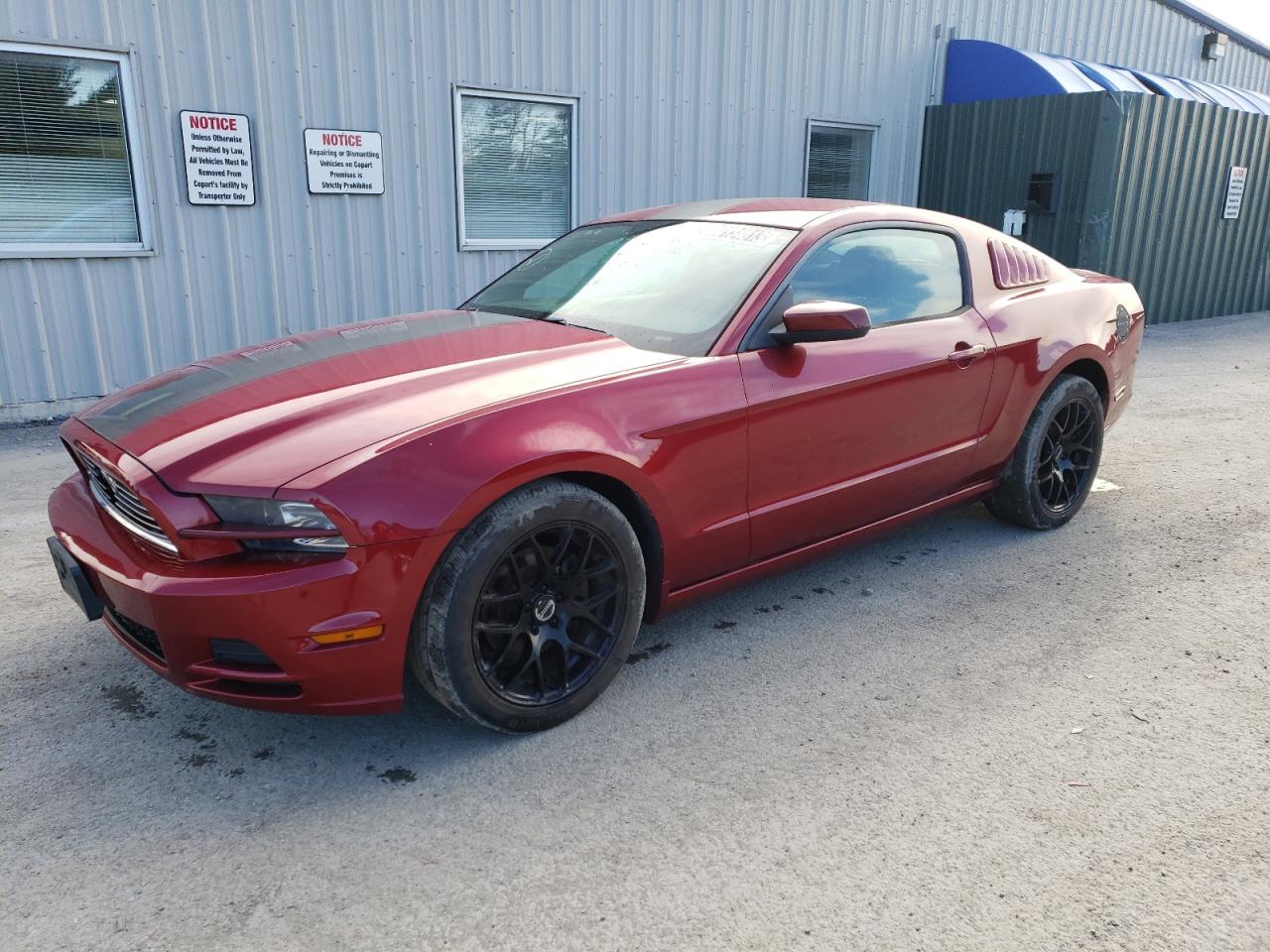 FORD MUSTANG 2014 1zvbp8amxe5325492