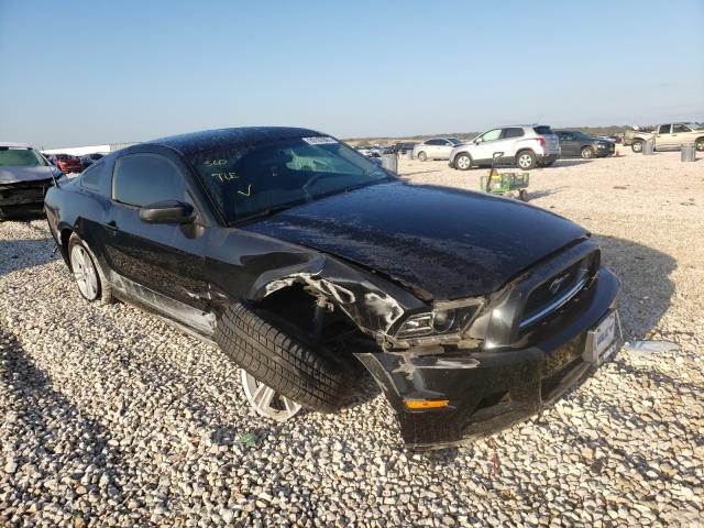 FORD MUSTANG 2014 1zvbp8amxe5326254