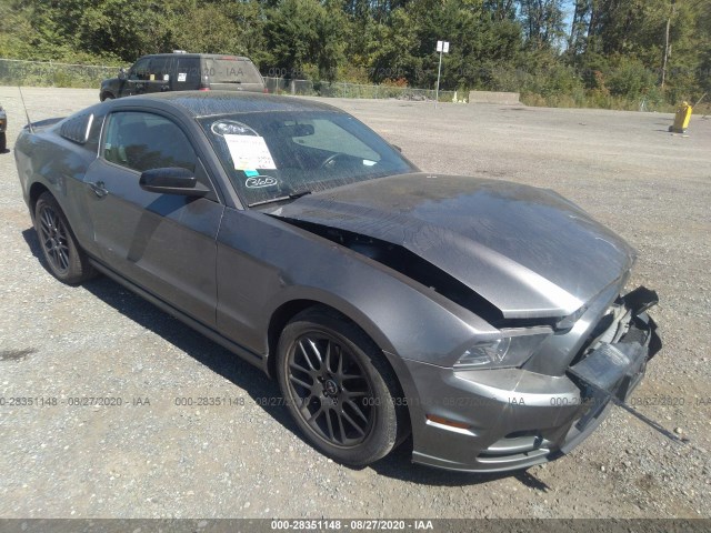 FORD MUSTANG 2014 1zvbp8amxe5328330