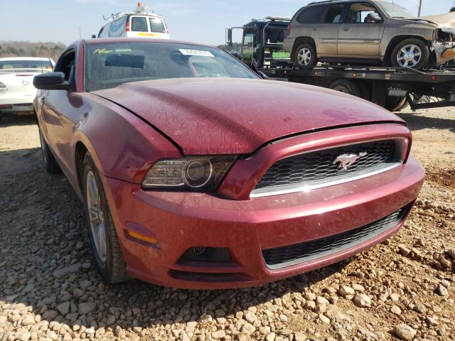 FORD MUSTANG 2014 1zvbp8amxe5328845