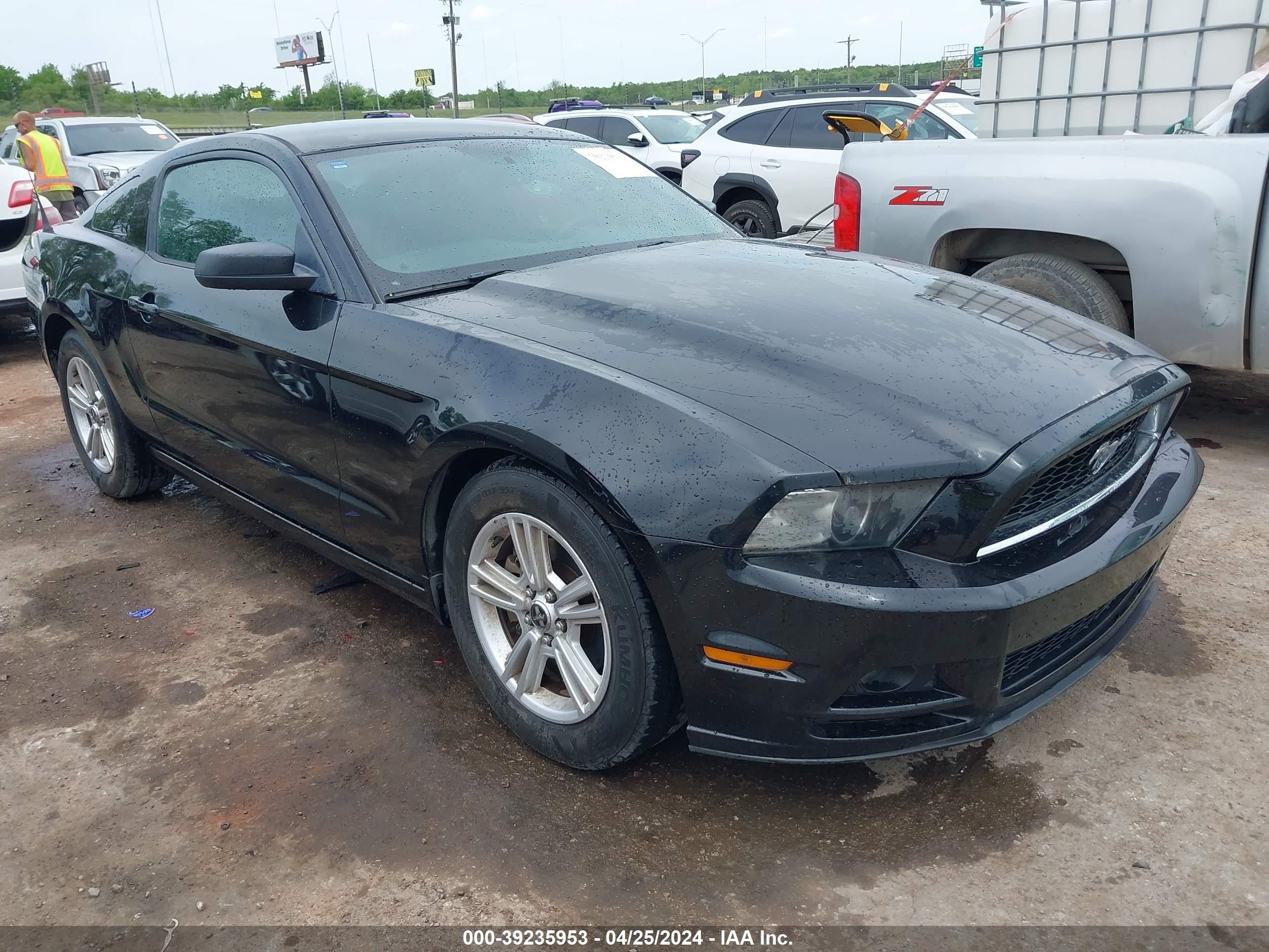 FORD MUSTANG 2014 1zvbp8amxe5330546