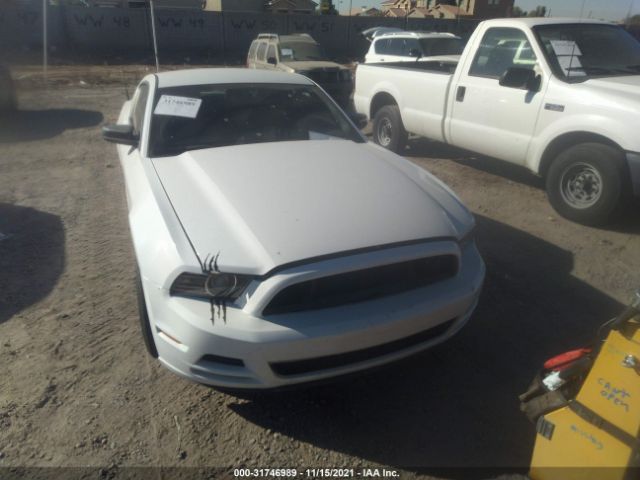 FORD MUSTANG 2014 1zvbp8amxe5333172