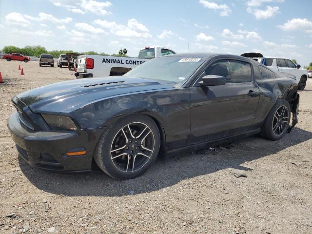 FORD MUSTANG 2014 1zvbp8amxe5334600