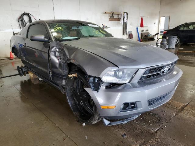 FORD MUSTANG 2010 1zvbp8an0a5100274