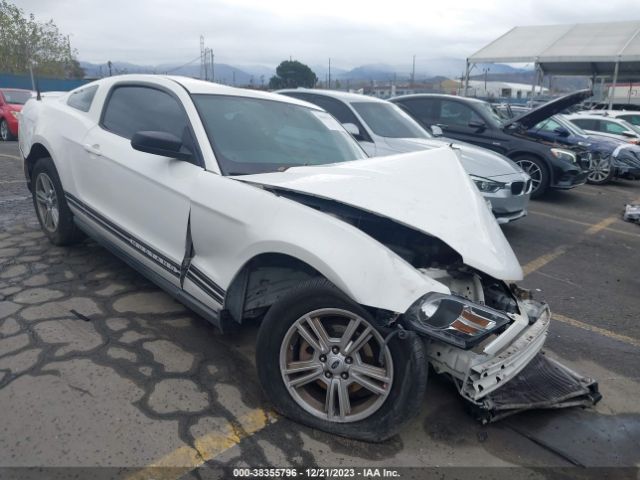 FORD MUSTANG 2010 1zvbp8an0a5101151