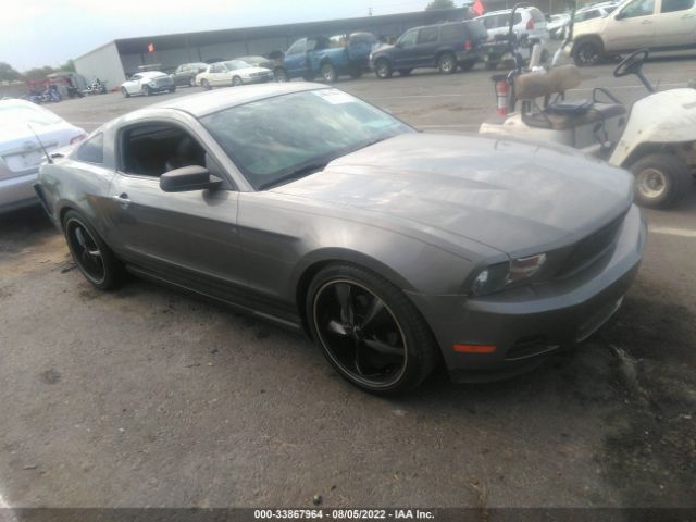 FORD MUSTANG 2010 1zvbp8an0a5101991