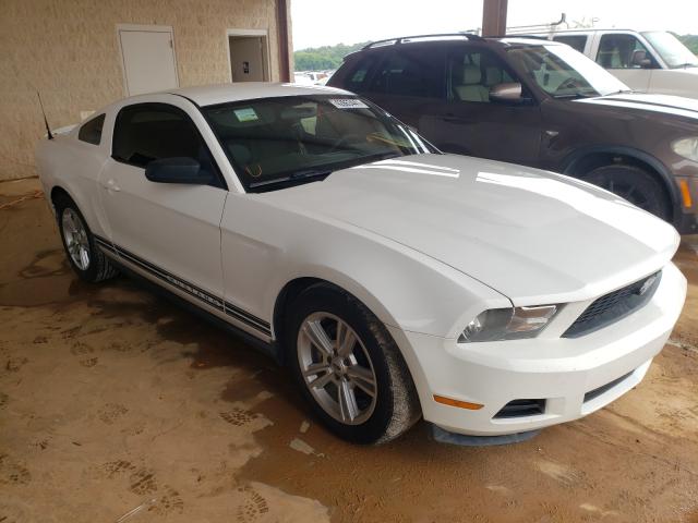 FORD MUSTANG 2010 1zvbp8an0a5104373