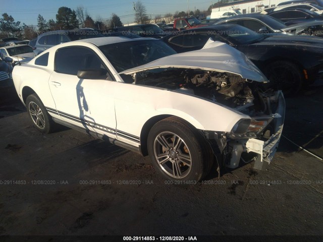 FORD MUSTANG 2010 1zvbp8an0a5104390