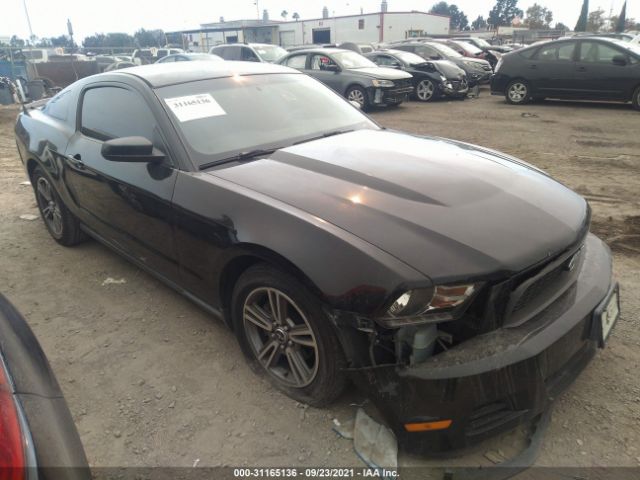 FORD MUSTANG 2010 1zvbp8an0a5104857