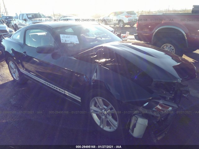 FORD MUSTANG 2010 1zvbp8an0a5105149