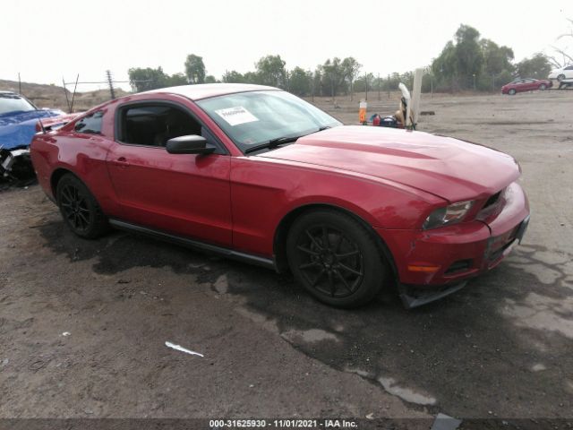 FORD MUSTANG 2010 1zvbp8an0a5105619