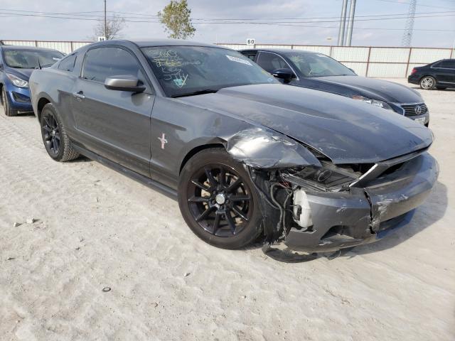 FORD MUSTANG 2010 1zvbp8an0a5106303