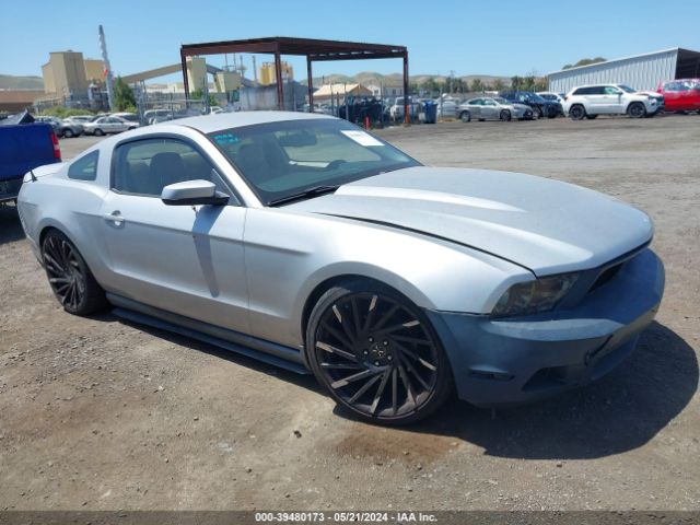 FORD MUSTANG 2010 1zvbp8an0a5107483