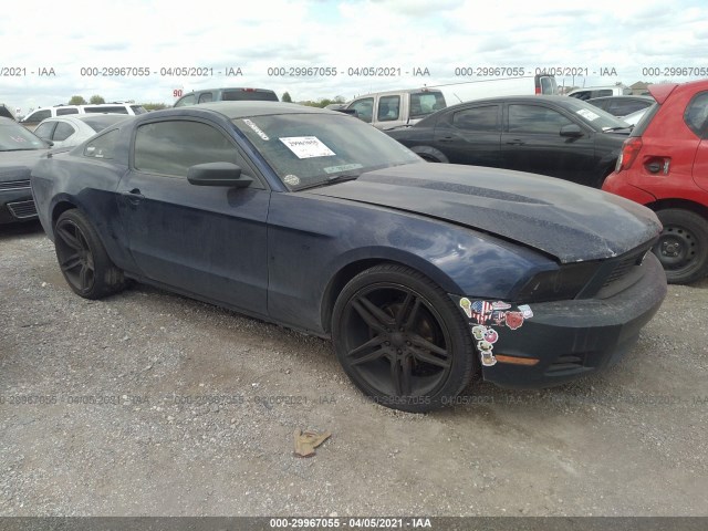 FORD MUSTANG 2010 1zvbp8an0a5115275