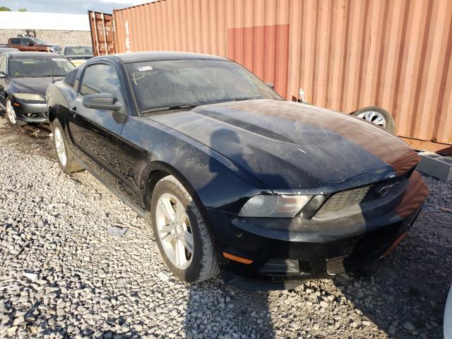 FORD MUSTANG 2010 1zvbp8an0a5119021